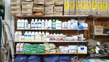 Agroforestal TierraNorte Wanda - Misiones - Wanda
