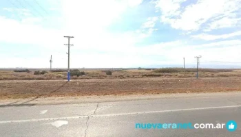 Alamos de Chacrita - Nueve De Julio