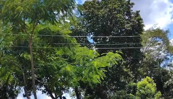 Casa Cuatro Estaciones - Paso De La Patria