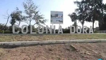 Col. Dora - Col. Dora