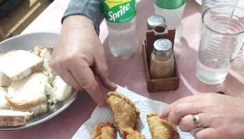 Comedor y Viñedo El Pantanillo - Achiras