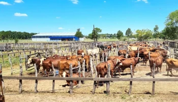 Complejo Rural Bella Vista - Bella Vista