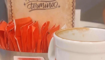 Dominico - Concepción