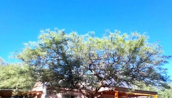El Reencuentro, Espacio Holístico, Casa de Te, Salud y Naturaleza, San Marcos Sierras - San Marcos Sierras