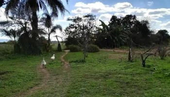 Finca Koppetsch - La Cocha