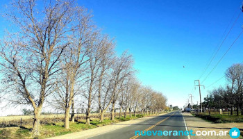 Gral. Baldissera - Gral. Baldissera