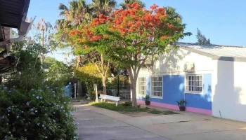 Hotel Rossa - Tostado