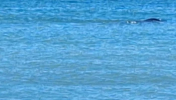 Panadería Don Lister - Playa Union