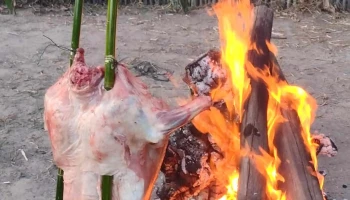 Posada Aguas Mansas - Concepción