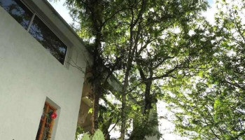 Posada Paloma - Suite & Guest House - La Granja