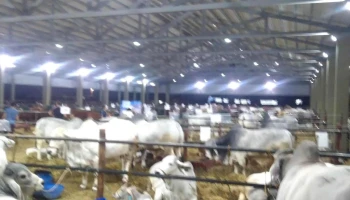Sociedad Rural de Corrientes - Aab