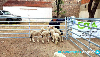 Sociedad Rural de Deseado - Puerto Deseado