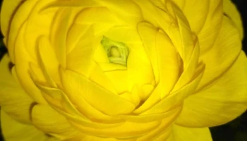 Vivero Pasionaria - Sunchales