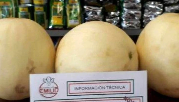 Agro Rawson Srl Rawson Numero - San Juan