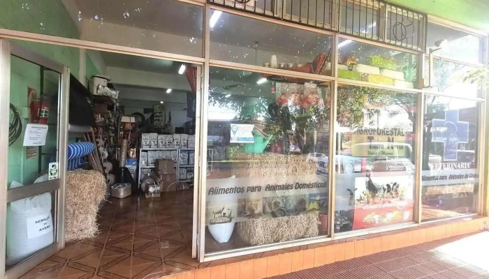 Agroforestal Tierranorte Wanda   Misiones Del Propietario - Wanda