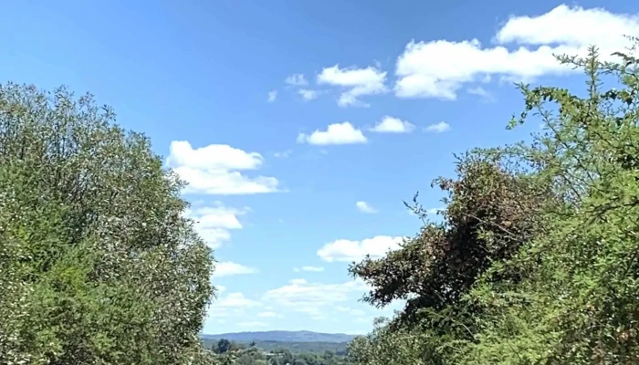 Agua De Oro -  Zona - Agua de Oro