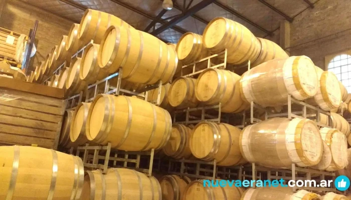 Almacen De Vinos Sabores La Huerta Del Propietario - Merlo