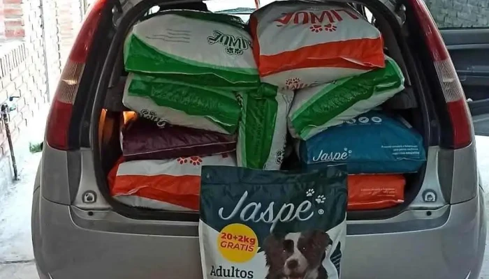 Alpaca Para Tu Mascota Calingasta -  Abierto Ahora - Calingasta