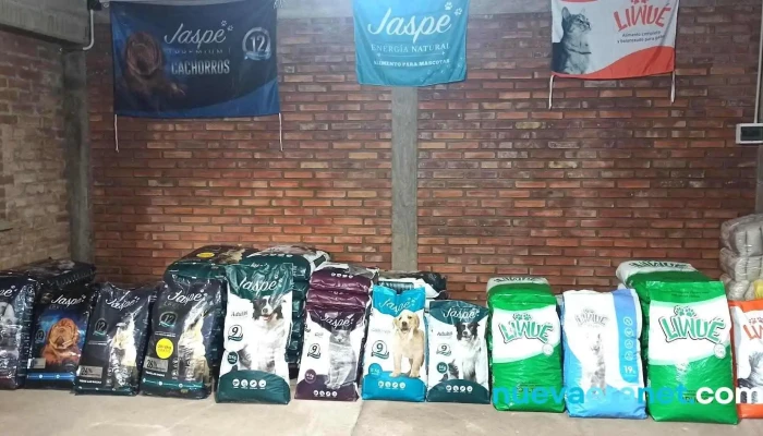 Alpaca Para Tu Mascota Calingasta -  Interior - Calingasta