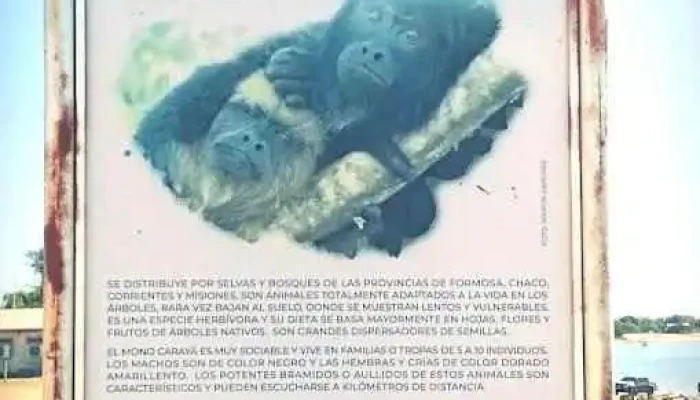 Alquiler de equipos de pesca - Paso De La Patria