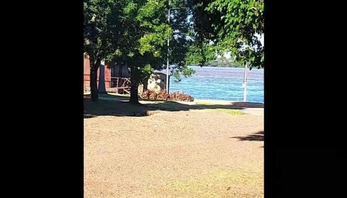Alquiler Por Dia El Olivo Del Propietario - Monte Caseros