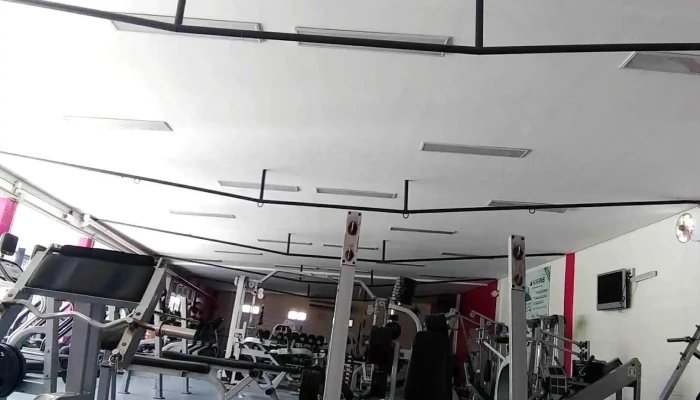 Area Club Gimnasio - San Luis