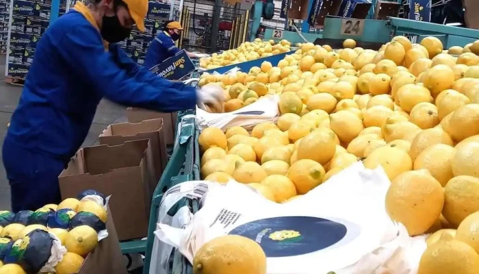 Argenti Lemon Sa -  Direccion - Cevil Pozo