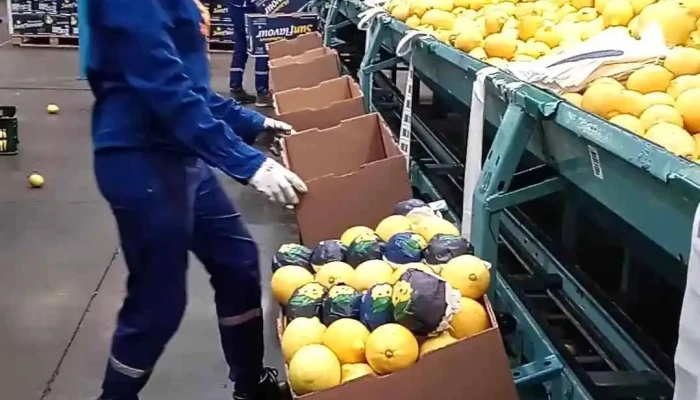 Argenti Lemon Sa -  Videos - Cevil Pozo