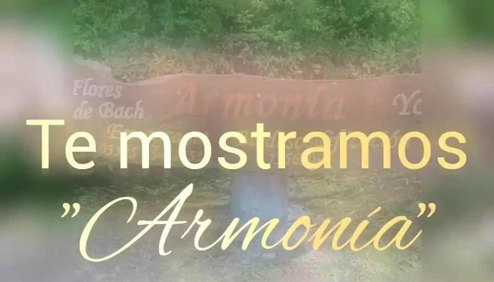 Armonia Videos - La Granja