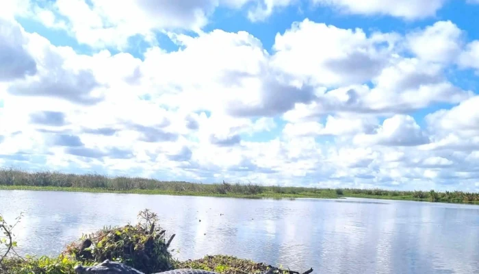 Aventura Yvera Excursiones En Ibera Direccion - Concepción