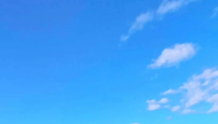Aventura Yvera Excursiones En Ibera Sitio Web - Concepción
