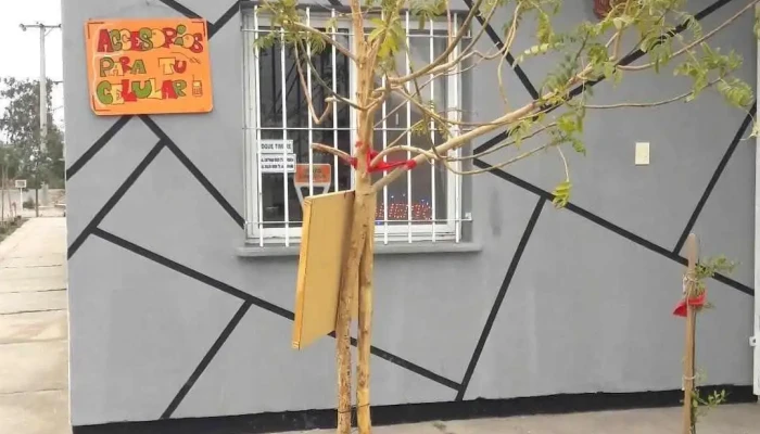 Avicola Silvana -  Ubicacion - Rivadavia