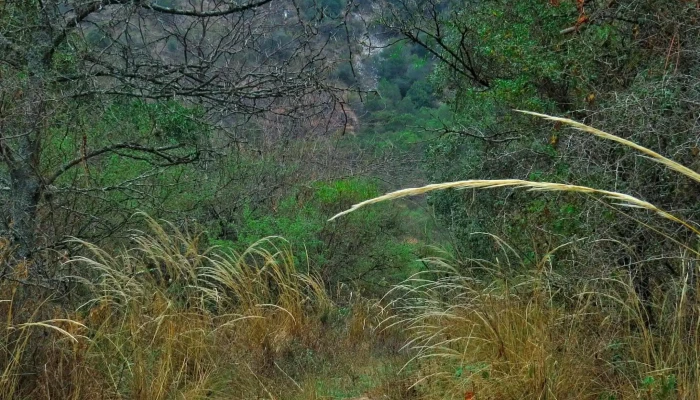 Bajada A Rio San Cristobal Comentarios - Córdoba