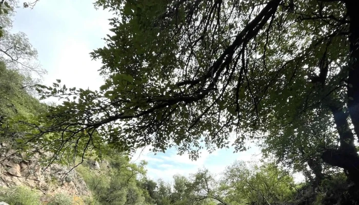 Bajada A Rio San Cristobal Numero - Córdoba
