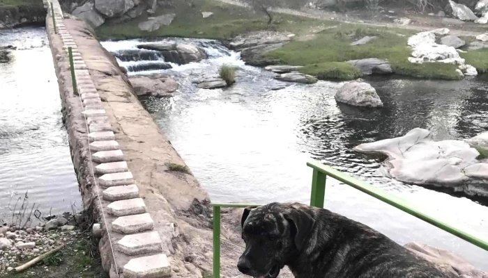 Balneario Huerta Grande -  Telefono - Huerta Grande