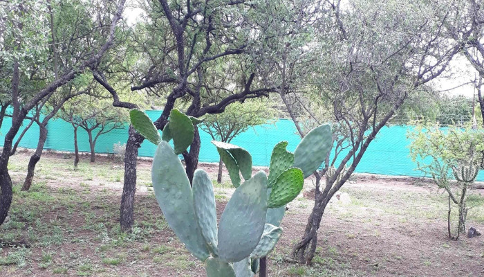 Barrio Lomas De Mendiolaza -  Descuentos - Mendiolaza