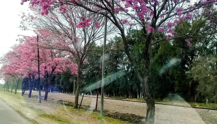 Beltran Santiago Del Estero Videos - Villa Robles