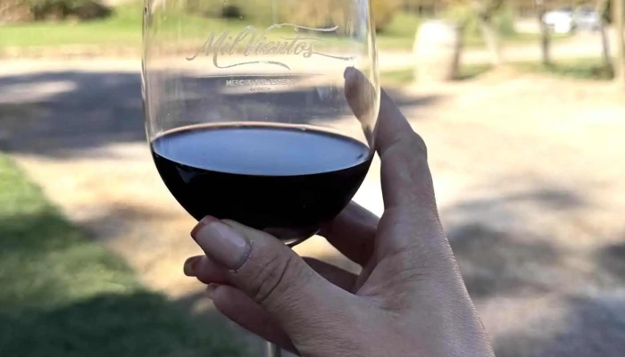 Bodega Merced Del Estero -  Mas Recientes - Rivadavia