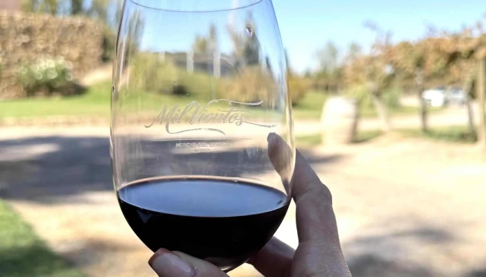 Bodega Merced Del Estero -  Numero - Rivadavia