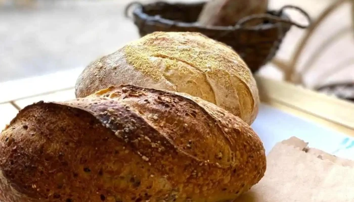 Bollo Guella Del Propietario - Maipú
