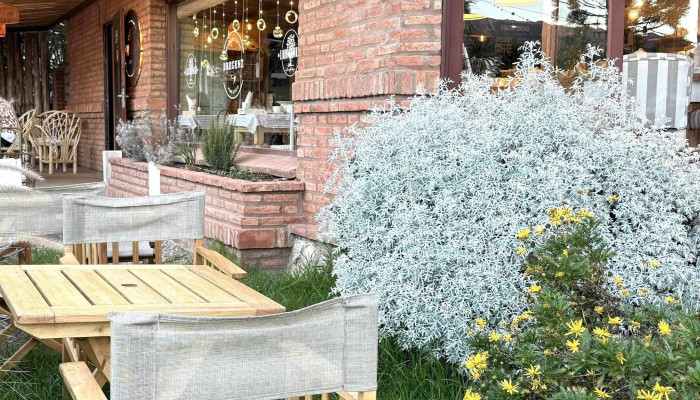 Bregenz Liquidambar Home Deco Sitio Web - La Falda