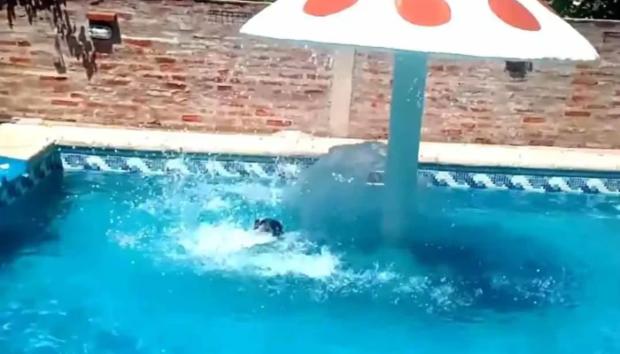 Cabanas El Descanso Videos - Paso de la Patria