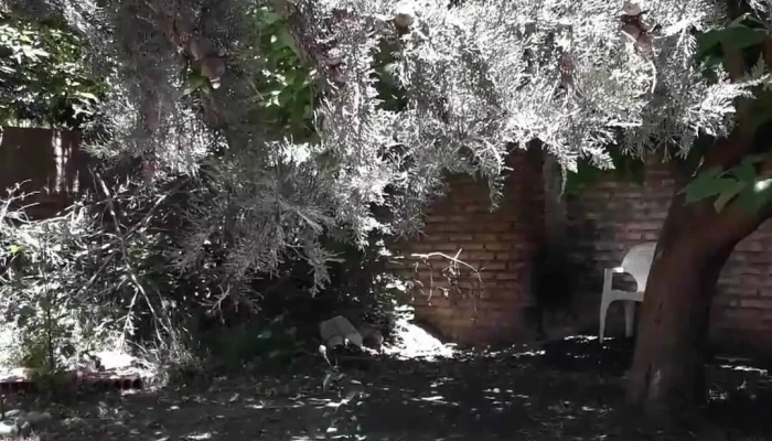 Cabanas Los Nietos Videos - San Francisco del Monte de Oro