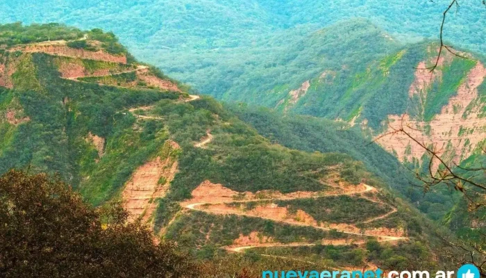 Calilegua -  Montana - Calilegua
