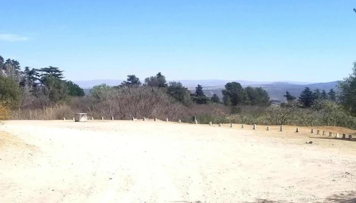 Camino Del Dragon Numero - La Falda