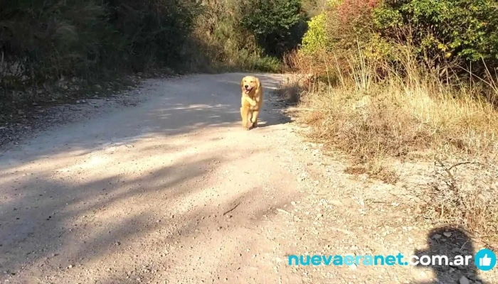 Camino Del Dragon Videos - La Falda