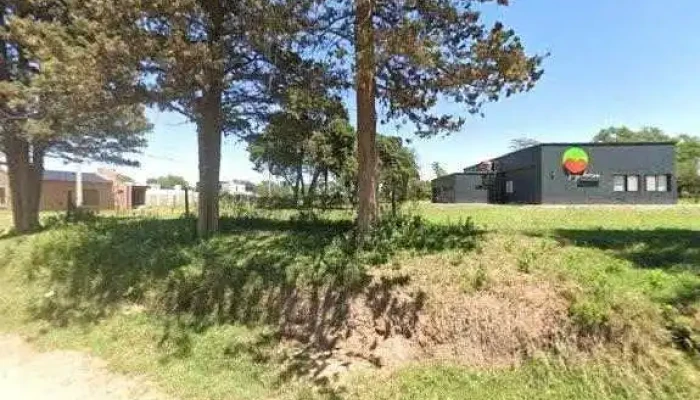 Campo Verde Comercializacion De Semillas -  Cerca De Mideg - Ucacha