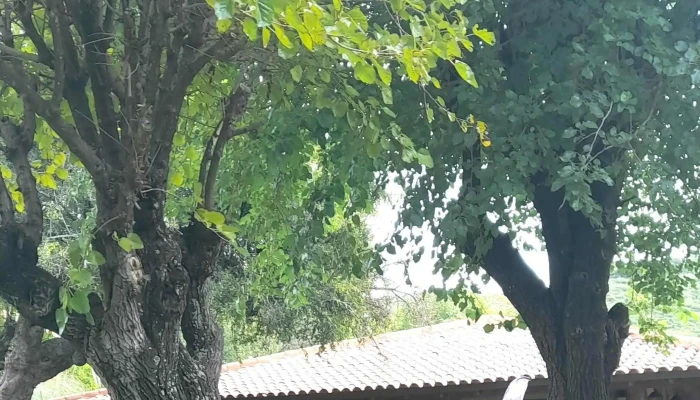 Candonga Villa Serrana -  Puntaje - El Manzano