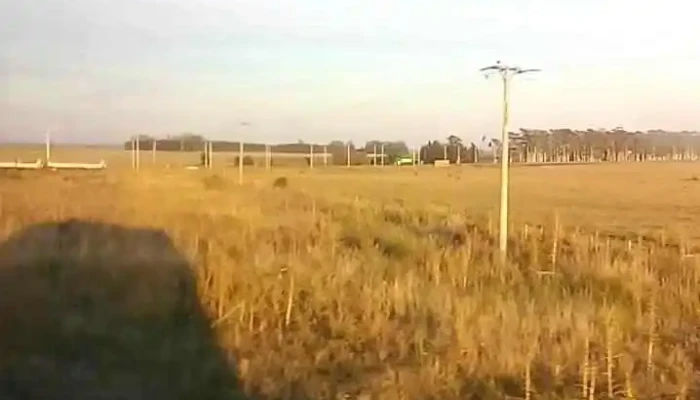 Cartel De Ingreso A Monte Caseros -  Videos - Corrientes