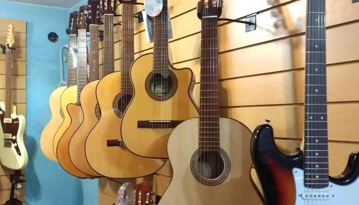 Casa Agustin Instrumentos Musicales -  Instrumento De Cuerda - Corrientes